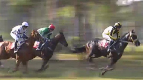 Jezdectví - Prvomájová steeplechase Lysá nad Labem