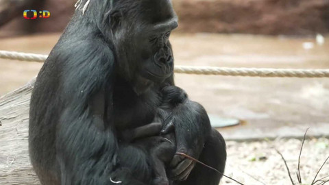 Zprávičky - 10. ledna 2024