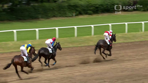 Velká pardubická - I. kvalifikace na 134. Velkou pardubickou se Slavia pojišťovnou