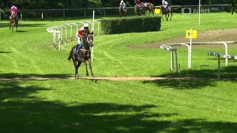 Dostihy - Letní cena města Pardubic