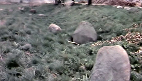 Archiv dne - 16. duben 1981: Kamenný program