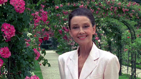 Zahrady světa s Audrey Hepburnovou - 6/8 Mechový chrám japonského druhu