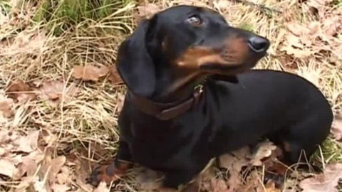 Tisíc let české myslivosti - 6. května 2010