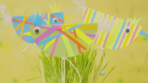 Déčko dílna - Pruhované slepičky