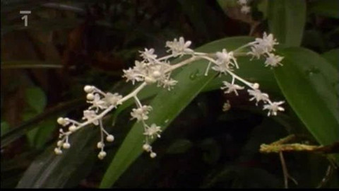 Objektiv - 20. prosince 2009