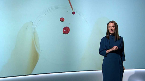 Věda 24 - 5. května 2024