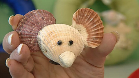 Hobby naší doby - Hoby naší doby