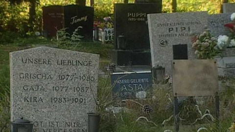 Postřehy odjinud - Rakousko očima Marie Woodhamsové