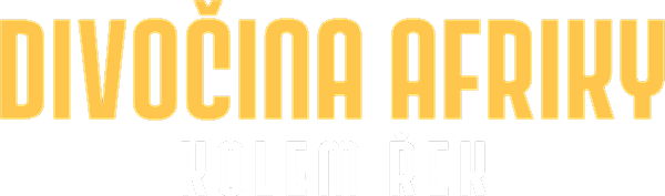 Divočina Afriky kolem řek