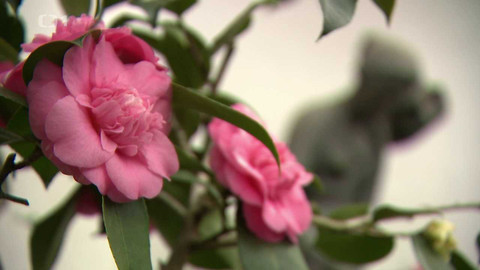 Týden v regionech (Brno) - 18. února 2023