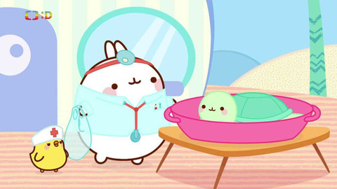 Molang - Mořská želva