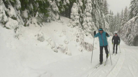 Běžkotoulky - Janské Lázně