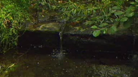 Přidej se - Ochrana přírody jako byznys