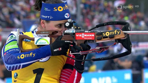 Světový pohár v biatlonu - Německo