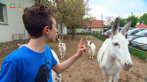 Terčin zvířecí svět - 6. září 2019