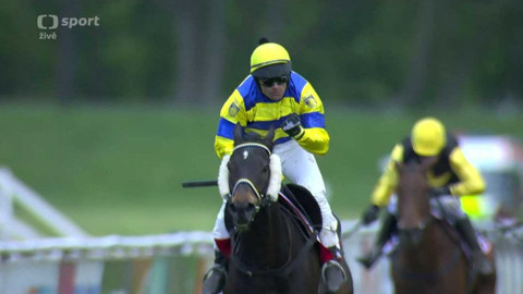 Dostihy - II. kvalifikace na 131. Velkou pardubickou se Slavia pojišťovnou