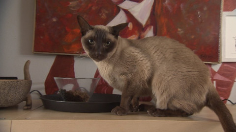 Chcete mě? - 27. května 2018