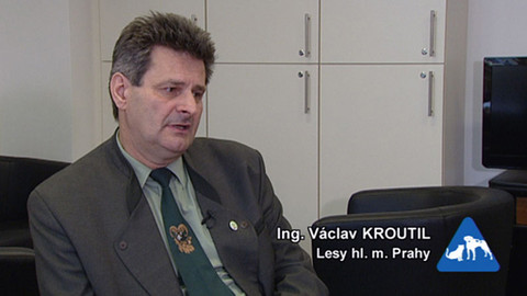 Chcete mě? - 16. října 2011