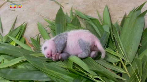 Zprávičky - 13. září 2021