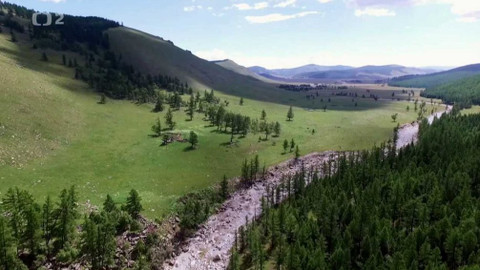 Nedej se! - Zápas o mongolský les