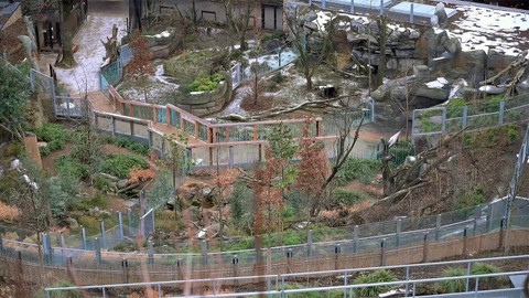 Nedej se! - Zoo v karanténě