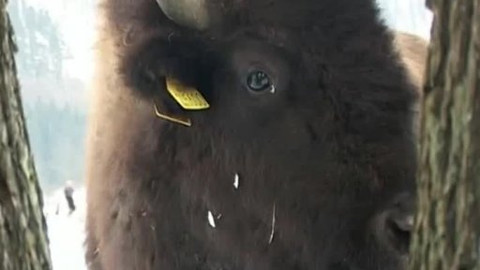 Toulavá kamera - 20. ledna 2008