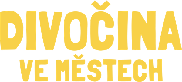 Divočina ve městech