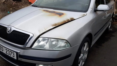 Černé ovce - 8. září 2021