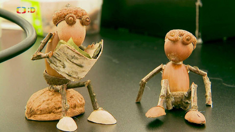 Zprávičky - 24. května 2024