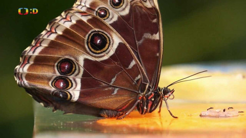 Tamtam - 7. května 2022