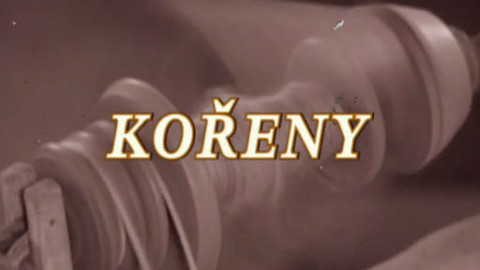 Kořeny