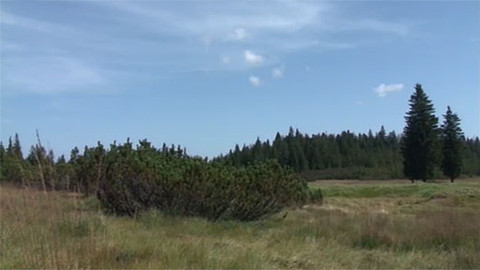 Toulavá kamera - 30. září 2012