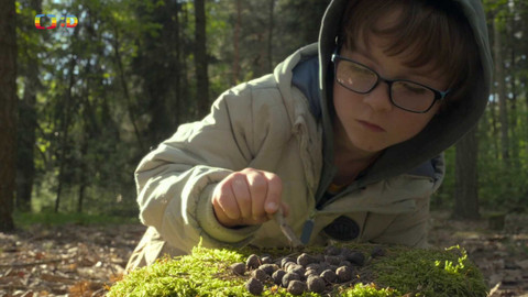 Můj dědeček zálesák - Hrajeme si v lese
