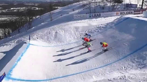 Světový pohár ve freestyle lyžování - SP Švédsko