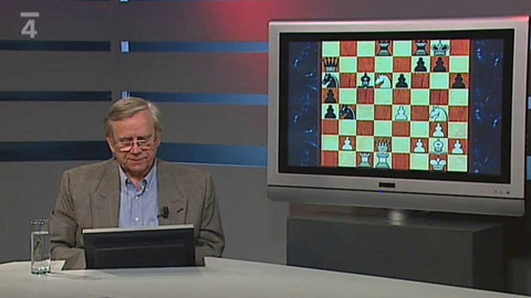 MS v šachu 2010 - MS v šachu