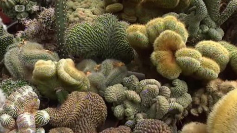 Toulavá kamera - 7. září 2008