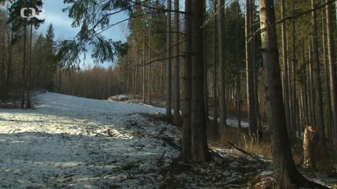 Nedej se! - Černá sjezdovka