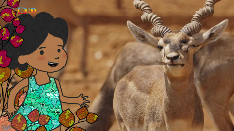 Velká kniha o zvířátkách - Epizoda 49/52