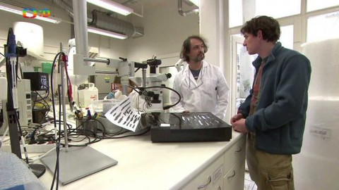 Záhady Toma Wizarda - Tajemství klecanského hrobu