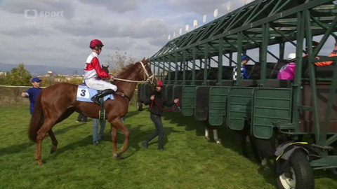 Dostihy - Cena zimního favorita