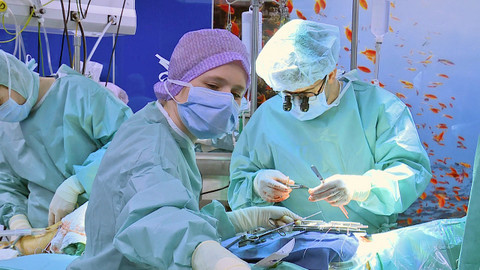 Sestřičky - Epizoda 6/6