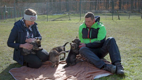 Co naše babičky uměly a na co my jsme zapomněli - Kočka a pes