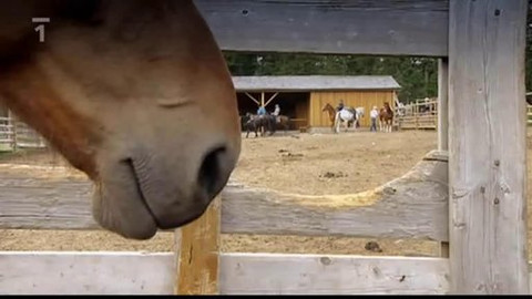 Kaleidoskop - 3. října 2010