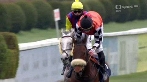 Dostihy - Gomba handicap