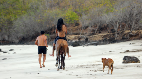 Vůně cizích krajů - Markézy, k pramenům Polynésie
