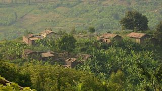 Na cestě po Rwandě