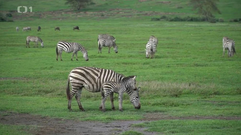 Objektiv - 28. února 2021