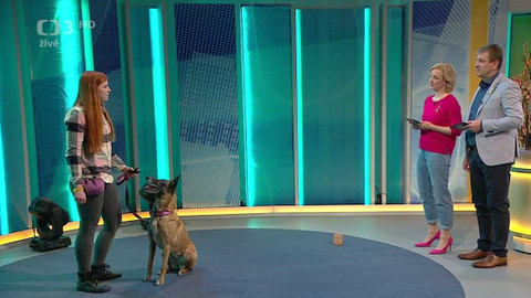 Dobré ráno - 18. března 2022