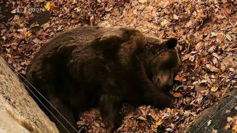 Studio fotbal - Extra