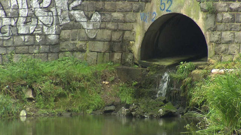 Nedej se! - Řeka není záchod